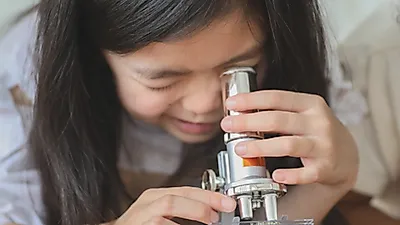 온타리오, 기초 학습 투자로 학업성취도 개선 이끌어