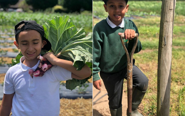 [영국] “채소 키우고 빵 굽고” 학교는 지구 살리는 요리 중