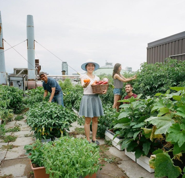 [출처=University of Toronto] 