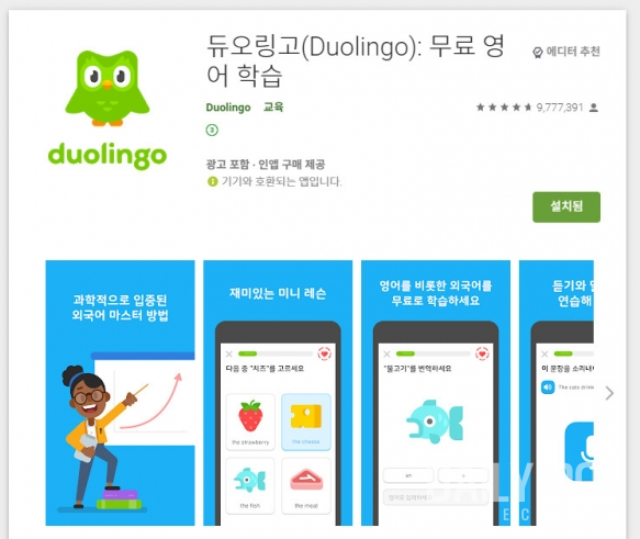 [출처=듀오링고]