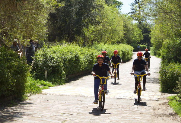남아프리카공화국에서 환경교육의 중요성이 커졌다. 리네도크어린이집 
