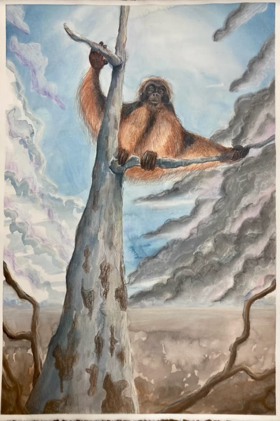 얀센 헤이스 작품. AP스튜디오 