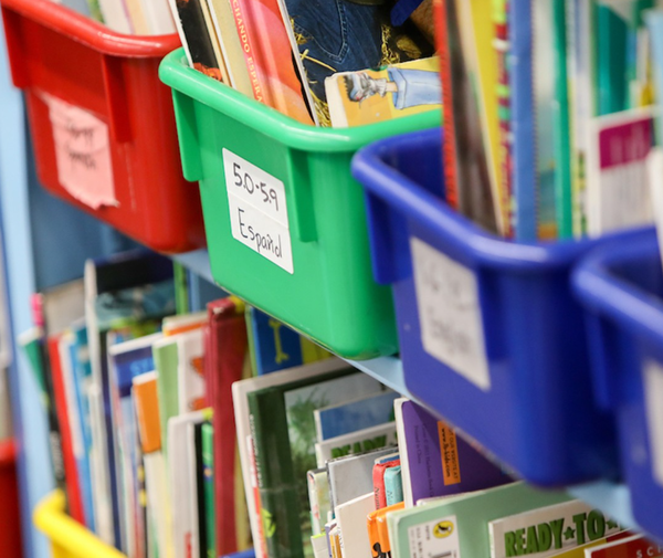 학습장애 아동은 기본적인 단어들의 발음을 어려워한다. 덴버공립학교