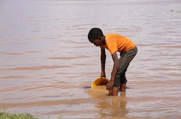 기후교육이 학교 정규 교육과정에 통합되어야 한다는 주장이 나왔다. 포드포히즈칠드런
