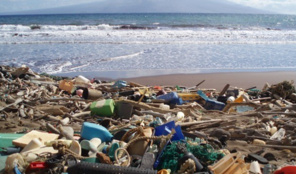 아이들 스스로 자신의 행동을 친환경적으로 바꿀 수 있도록 행동 교육이 필요하다. 미국해양대기청 