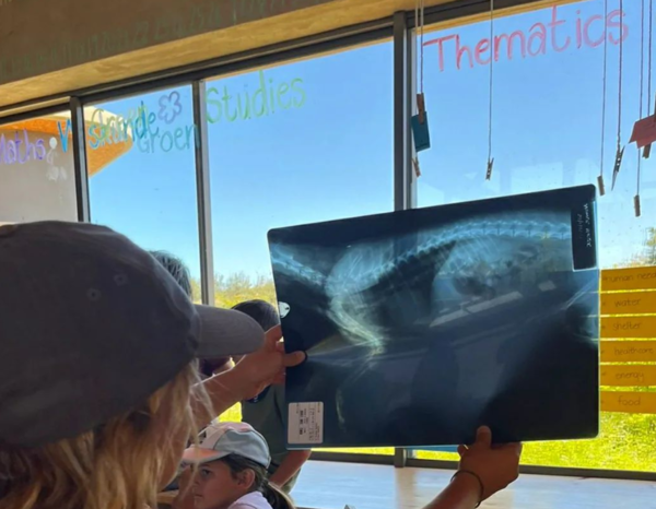 과학, 기술, 공학, 수학에 기본적인 기술과 개념을 도입함으로써 미래의 학습을 위한 기반을 마련하는 데 도움이 될 수 있다. 그린스쿨남아프리카 