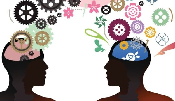 사회적 지능은 인간관계에 있어서의 현명함과 대처능력이라 할 수 있다. 기프티드