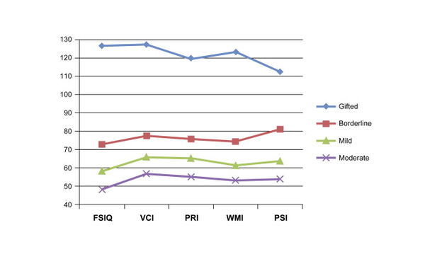 영재, 경계선, 경도 및 중등도 지적 장애 그룹에 대한 웩슬러지능검사 결과. 임상신경학 저널.  