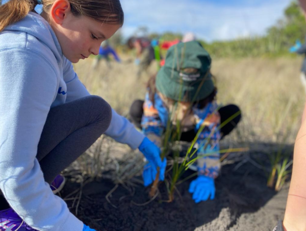 그린스쿨뉴질랜드