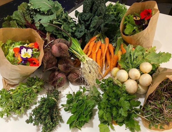 아이들을 요리에 참여시키는 것은 새로운 음식을 시도하고 아이들이 준비하는 데 도움을 준 음식을 더 많이 먹을 가능성이 크기 때문에 더 건강한 식습관으로 이어진다. 그린스쿨뉴질랜드