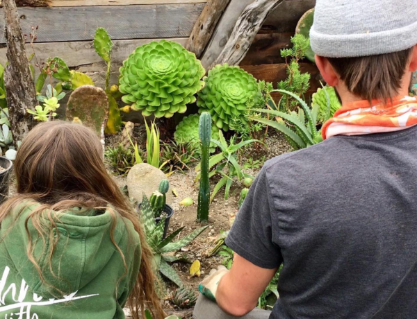 ADHD를 앓고 있는 아이들은 종종 자신의 가치에 의문을 제기하기 때문에 하루종일 사랑과 지원이 필요하다. 그린스쿨뉴질랜드