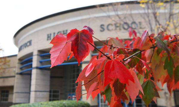 소외계층 간에도 교육 및 직업 전망에는 차이가 있었다. 메트로내슈빌공립학교