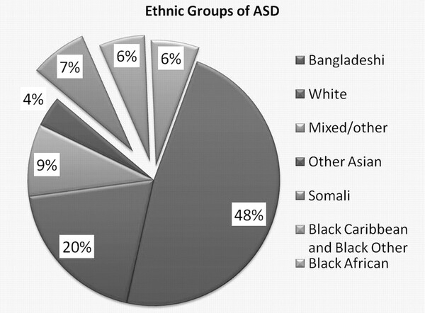 아시아 및 태평양 섬주민, 라틴계, 흑인 아동의 자폐 진단이 빠른 속도로 증가하고 있다. BMJ저널 
