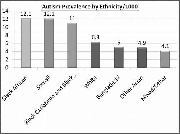 아시아 및 태평양 섬주민, 라틴계, 흑인 아동의 자폐 진단이 빠른 속도로 증가하고 있다. BMJ저널 