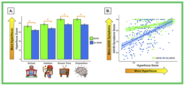녹색 막대는 ADHD 환자의 평균 과잉 집중 점수를 나타내며 파란색 막대는 ADHD가 없는 사람들의 평균 과잉 집중 점수를 보여준다. 별표는 ADHD가 있는 사람이 없는 사람에 비해 모든 척도에서 과잉 집중 점수가 더 높다는 것을 의미한다. 게다가 ADHD 증상이 더 많은 사람일수록 과잉 집중 점수가 더 높았다. 프론티어스 영마인즈