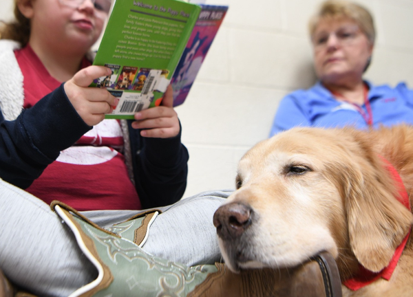 중요한 것은 교사의 역할이다. 메트로내슈빌공립학교