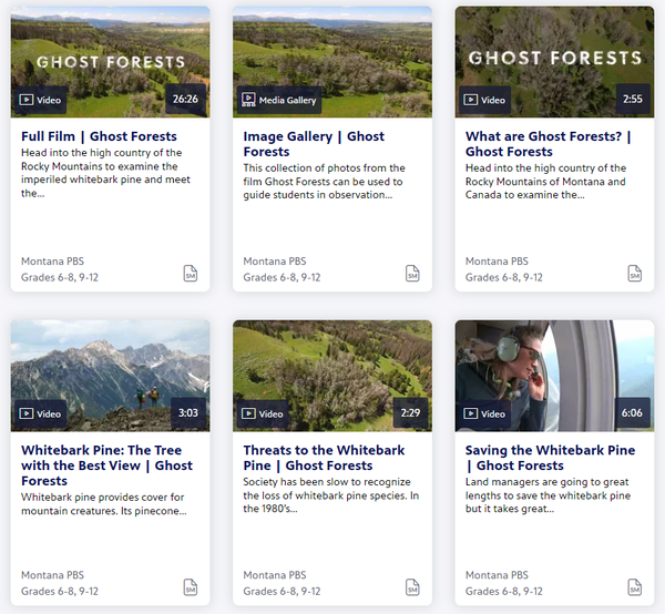 '지구의 날' 맞이 환경보호 알리는 수업 활동 10가지