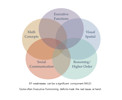 언어능력이 좋지만, 조직, 주의력, 실행기능, 사회적의사소통, 운동능력에 문제가 있다. 윈스턴예비학교 