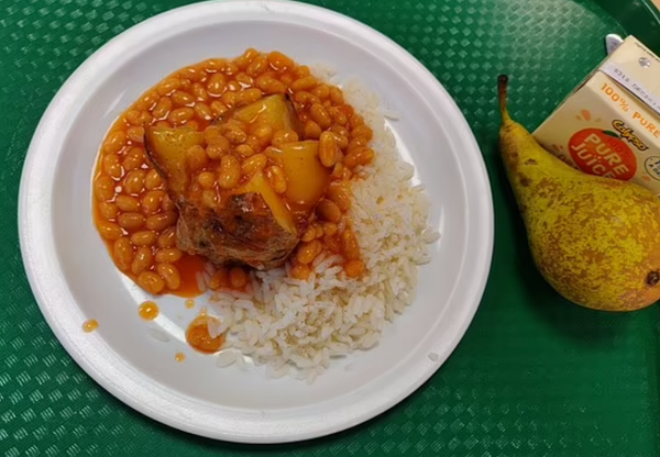 가공식품 위주의 학교 비건 급식, 정말 건강한가?