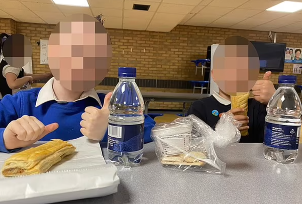 가공식품 위주의 학교 비건 급식, 정말 건강한가?