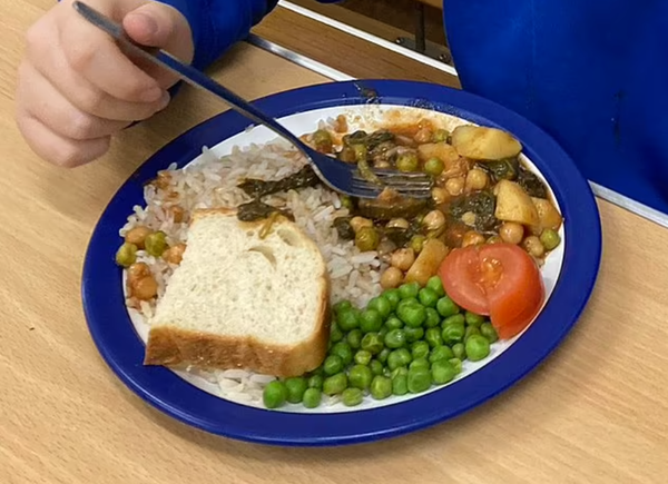 “채식은 건강에 좋을 수 있지만, 적절한 계획 없이는 필수 영양소가 부족할 수 있다. 데일리메일 