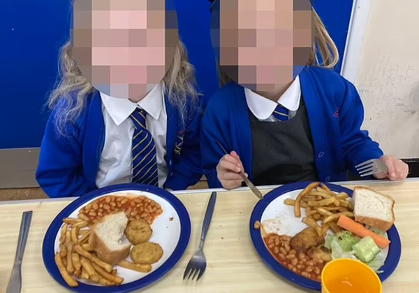 비건 버거나 비건 소시지 등 육류와 유사한 비건 대체품은 육류보다 염분이 더 높을 수 있다. 데일리메일 