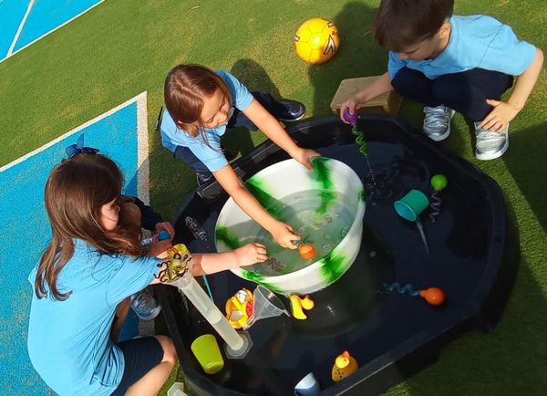 인종과 경제력에 따른 여러 지역의 학교 간 격차가 매우 크다. 헐링엄스쿨 