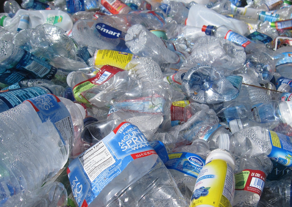 일회용 도시락을 사용하는 학생 한 명당 9개월 동안 67파운드의 쓰레기를 배출하며, 대부분 플라스틱 식기와 빨대, 봉투가 차지했다. 지구의날 네트워크