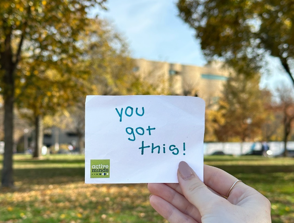 액티브 마인즈는 특정 주에서 중학교 프로그램을 시범 운영 중이며, 아이들이 자신의 감정을 더 잘 이해하고 정신건강 문제의 조기 징후를 식별하고 관리할 수 있는 기술을 개발할 수 있도록 돕는 것을 목표로 하고 있다. 액티브마인즈