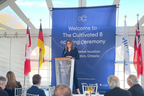 벌링턴주 나탈리 피에르 하원의원이 학교 내 정신건강 인식과 지원을 강화하기 위해 법안을 발의했다. 나탈리 피에르 하원의원