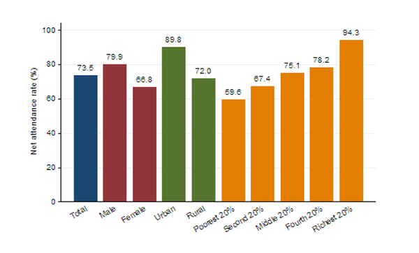 초등학교 연령 아이들의 73.5%가 초등학교에 다니고 있다. 남아의 79.9%가 여아의 66.8%가 초등학교에 다닌다. 시골 지역보다 도시지역에서, 저소득층보다 상위 20% 고소득층 가구에서 출석률이 높다. 네팔인구보건조사 