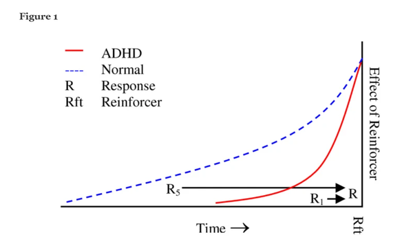 ADHD 아동이 긍정적이고 즉각적인 강화에 더 민감한 것을 보여준다. 행동과 뇌기능 