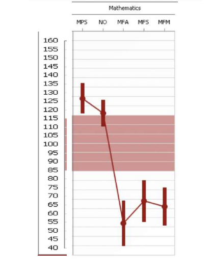이 고등학생의 전체 IQ는 상위 99번째 백분위수에 속했지만, 수학 문제 해결 능력은 93번째 백분위수였고 기본 수학 사실 유창성(8+4와 같은 간단한 수학 사실을 기억하는 능력)은 1번째 백분위수에 속했다. 난독증어드밴티지 