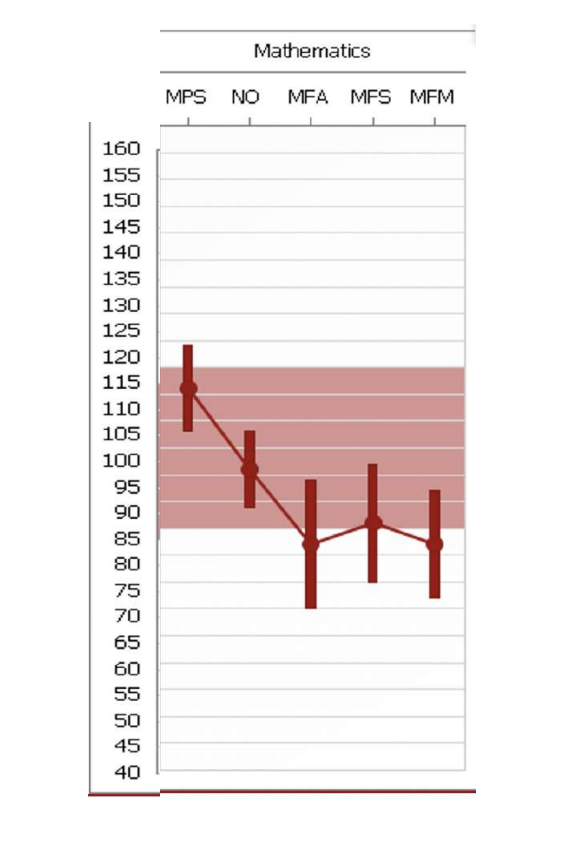 비언어적 지능 점수가 99백분위수, 기초 수학 사실 유창성 점수가 10백분위수인 학생을 위해 계산기 지원을 주장했고, 이 학생은 중학교에 입학할 무렵 계산기 지원으로 수학에서 두 학년을 건너뛰는 데 성공했다. 현재 이 학생은 컴퓨터 과학 학위를 취득하고 여러 엔지니어링 상을 수상했다. 난독증어드밴티지 