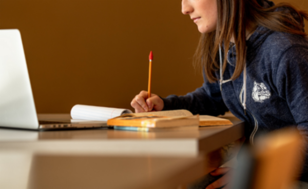 부정행위 자체가 학교에서 새로운 현상은 아니라는 의견도 있다. 곤자가대학 