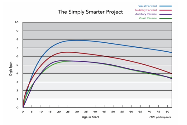 시각적 단기 처리 능력은  30대에 발달하는 경향이 있는 반면, 청각적 단기 처리 능력과 작업 기억 처리 능력은 일반적으로 20대까지 계속 발달한다. 미국 아동 발달 협회