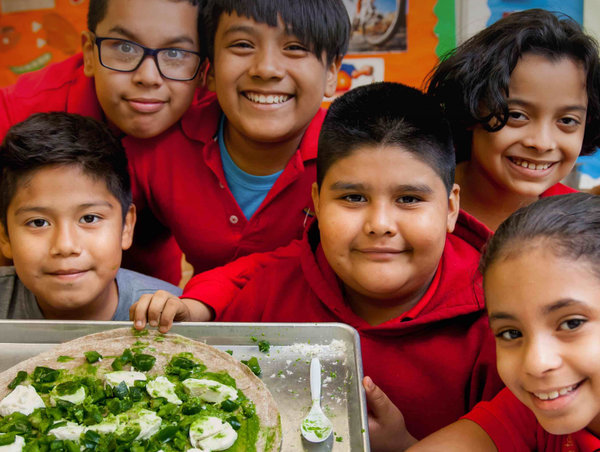 공립학교 학생의 거의 40%가 과체중 또는 비만인 뉴욕시의 높은 건강 문제 비율을 해결하는 데 도움이 될 것으로 기대를 모은다. 뉴욕시보고서 