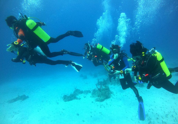 때로는 구명조끼를 입고, 때로는 보호 고글과 용접기 마스크를 착용한 학생들은 졸업 전에 해양 과학 또는 기술 분야의 산업 자격증을 취득할 수 있다. 하버스쿨 