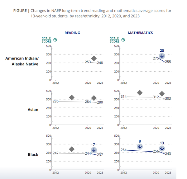 학업성취도 저하는 인종에 따라 달랐다. NAEP