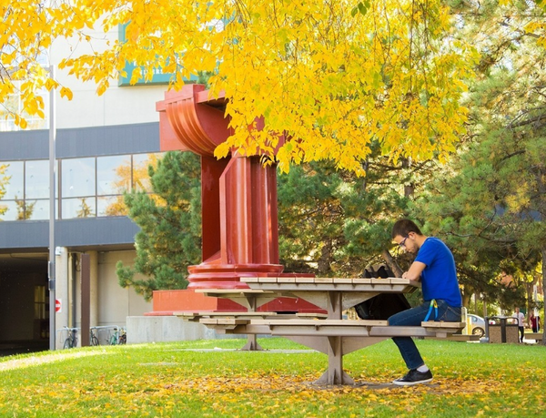 챗GPT, 대학 입학과정 평등 이끌어낸다?