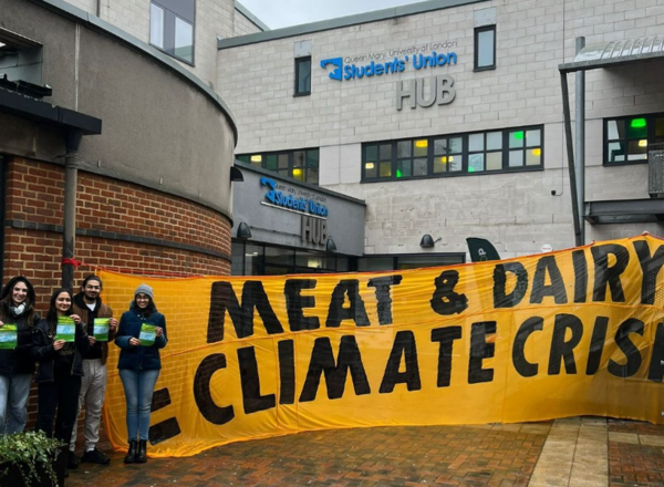 프랭크 켈리, 사이먼 루이스, 크리스 래플리 교수와 같은 저명한 학자들과 방송인 크리스 팩햄, 녹색당 의원 캐롤라인 루카스 등 유명 인사들도 서명자로 참여했다. 식물 기반 대학