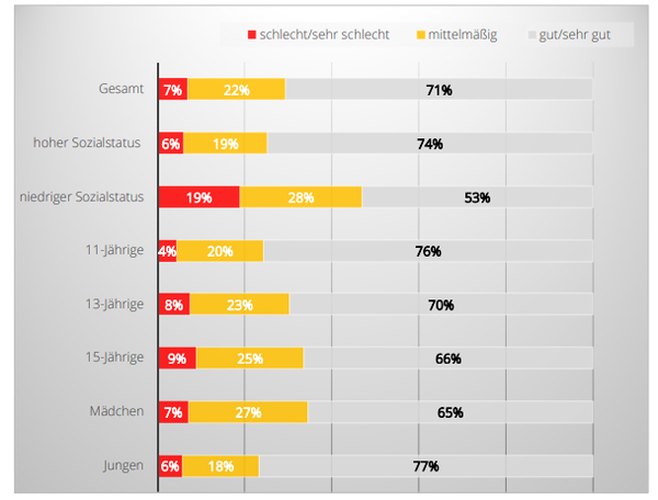 자신의 일반적인 건강 상태 평가. 회적 약자 아동의 38%는 일주일에 한 번 이상 다양한 유형의 통증을 겪는 반면, 부유한 가정의 아동은 21%에 불과했다. 독일 공공의료보험기관 