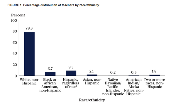 공립학교 교사의 79%는 백인 및 비히스패닉계였다. 약 9%의 교사가 히스패닉(모든 인종), 7%의 교사가 흑인 및 비히스패닉이었다. IES NCES 